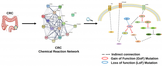 Chemical Reaction Network