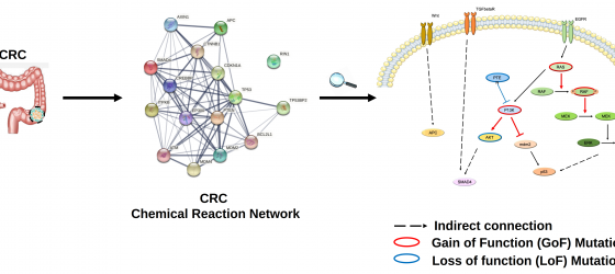 Chemical Reaction Network